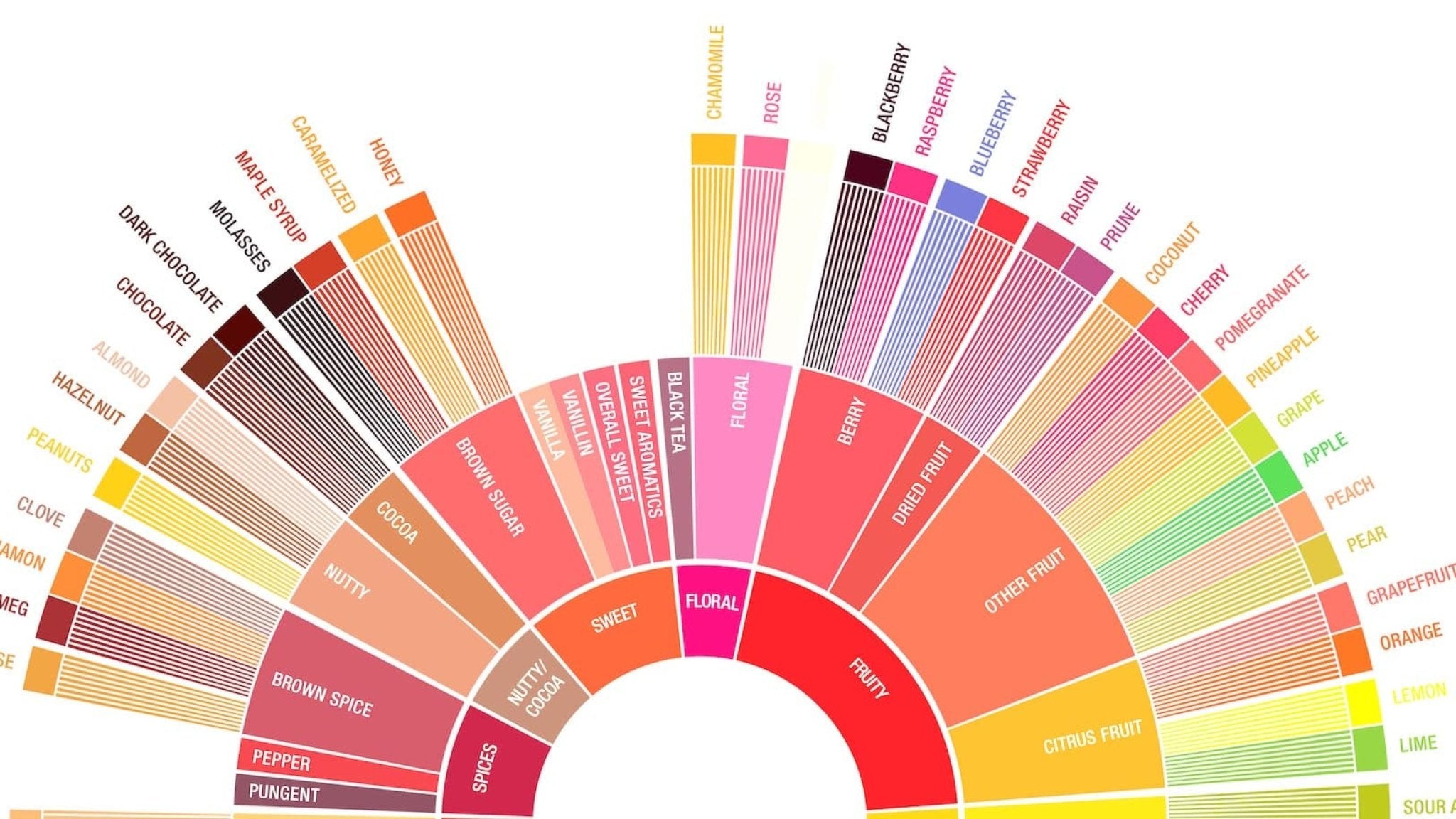 History of the Coffee Flavor Wheel - Seed to Bean