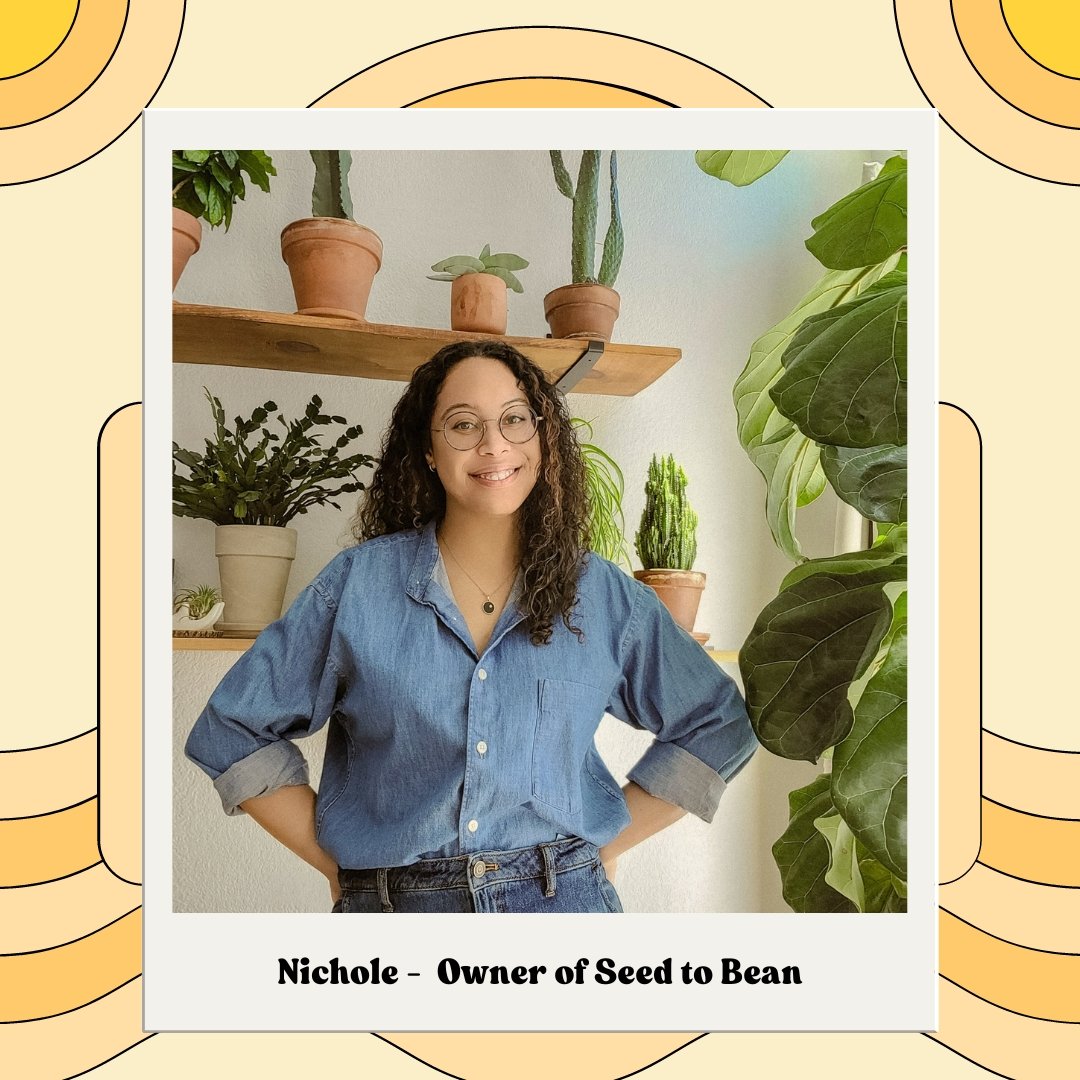 Q&A with Seed to Bean Founder, Nichole - Seed to Bean