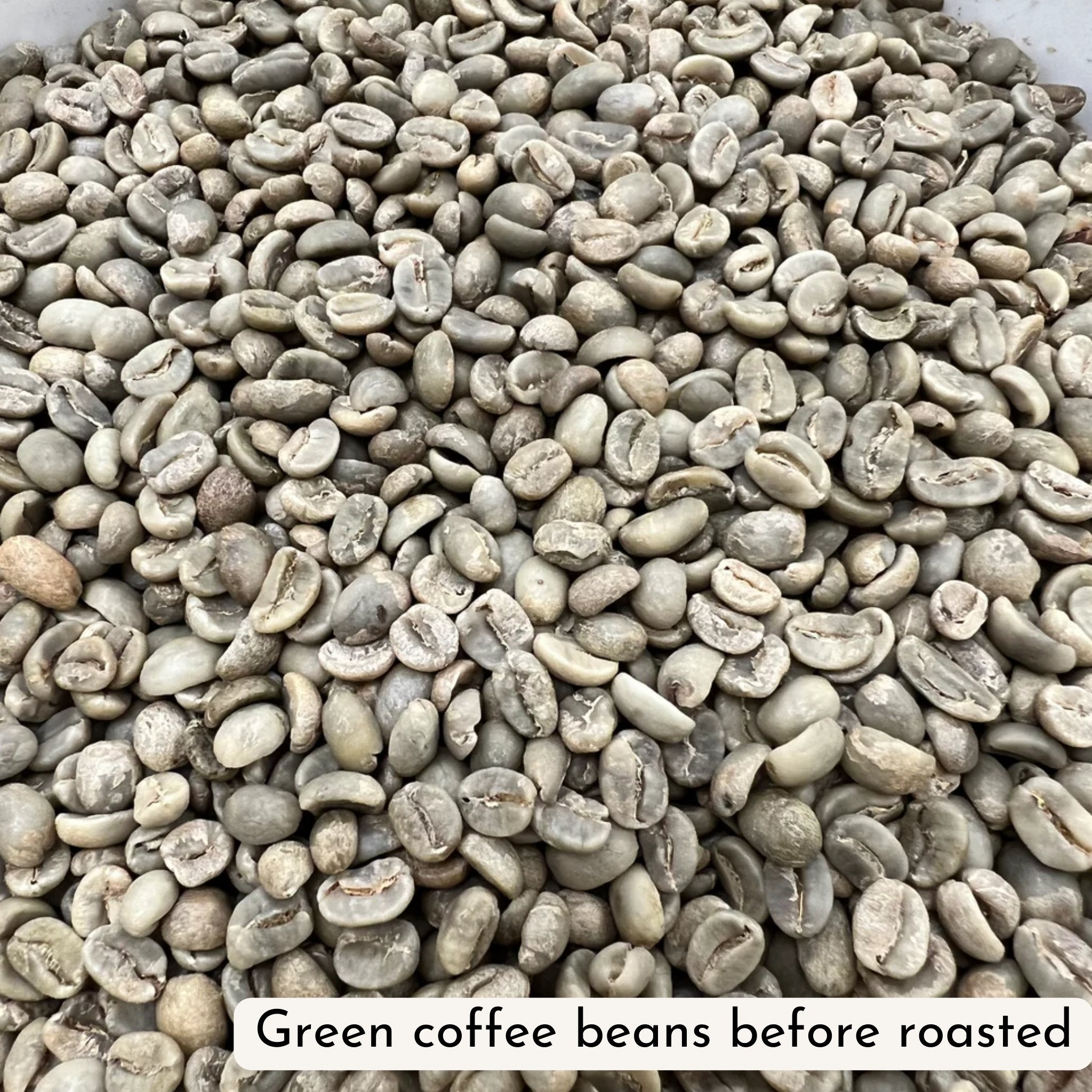 Rise & Shine - Seed to BeanCoffee BeansSeed to Bean