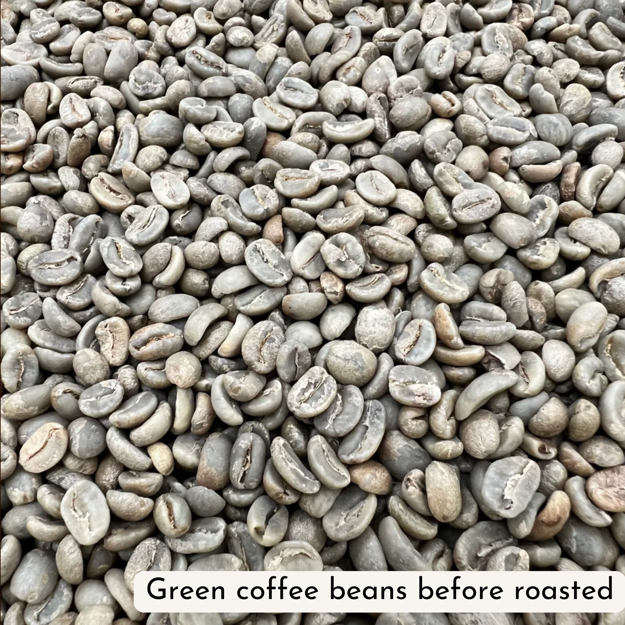 The Sweet Life - Seed to BeanCoffee BeansSeed to Bean